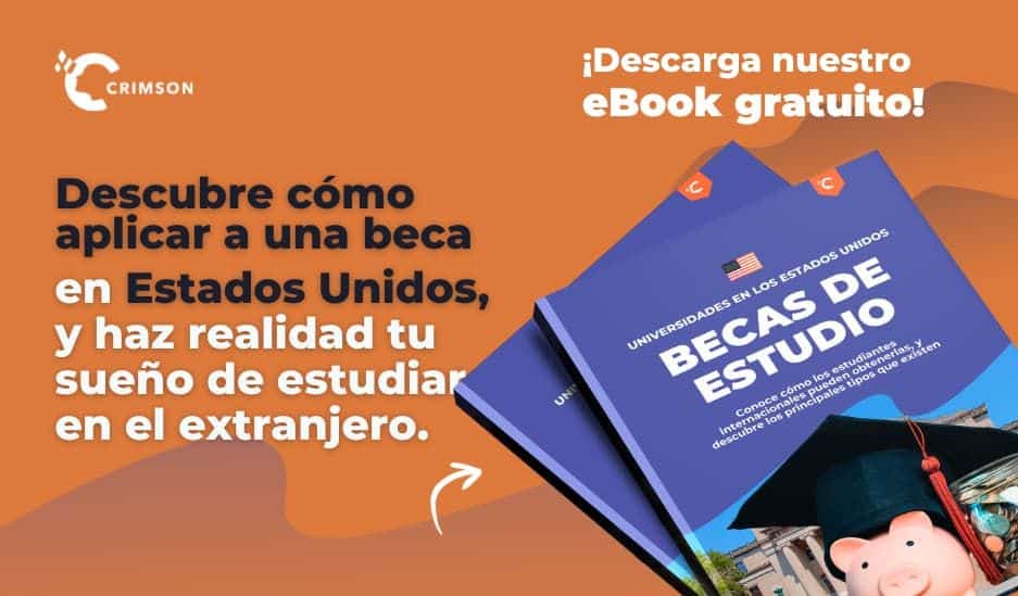 descubre los diferentes tipos de becas que existen guia completa